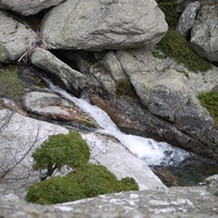 Photo de france - La randonnée du Mont Caroux